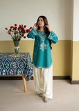 2 Piece - Unstitched Embroidered Dhanak Fabric