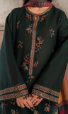 3 Piece - Unstitched Embroidered Dhanak Fabric JZ-580