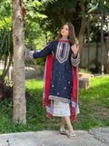 3 Piece - Unstitched Fully Embroidered Dhanak Fabric RR-610