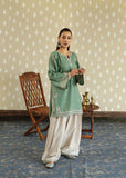 2 Piece - Unstitched Embroidered Dhanak Fabric